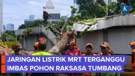 MRT Jakarta Minta Maaf, Layanan Terhenti Karena Jalur Tertimpa Pohon Tumbang