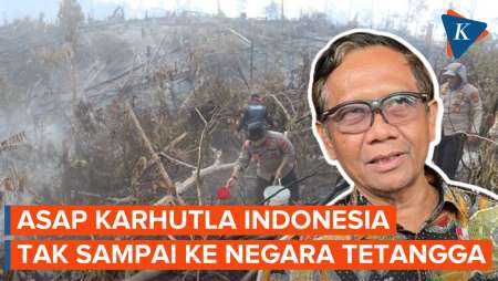 Soal Kebakaran Hutan, Mahfud: Tidak Ada Kiriman Asap ke Negara Tetangga