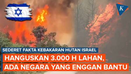 Fakta Kebakaran Hutan Israel, 3.000 Hektare Lahan Hangus, 2 Negara Tak Mau Bantu