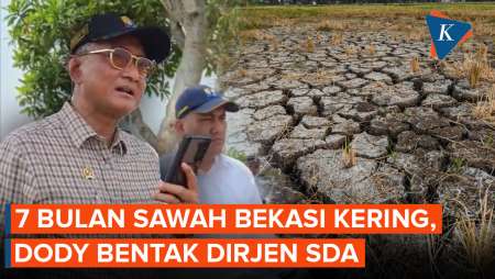 Momen Menteri PU Bentak Dirjen SDA Gegara Sawah Di Bekasi Kering 7 Bulan