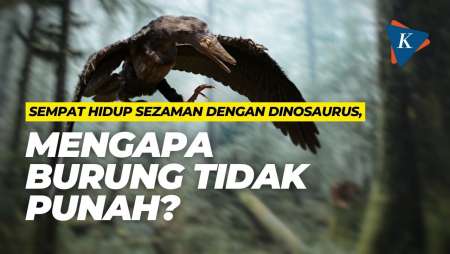 Sempat Hidup Sezaman dengan Dinosaurus, Mengapa Burung Tidak Punah? .