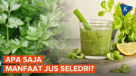 Khasiat Jus Seledri, Bisa Bantu Turunkan Kolesterol Tinggi