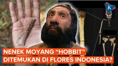 Fakta Baru Penemuan Nenek Moyang “Hobbit” di Pulau Flores Indonesia