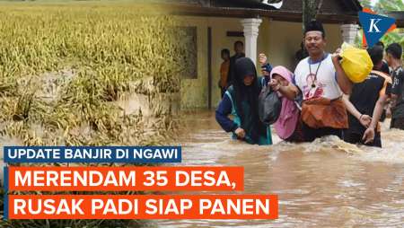 Banjir di Ngawi Rendam 35 Desa, Lebih dari 1.300 Hektare Padi Siap Panen Terdampak