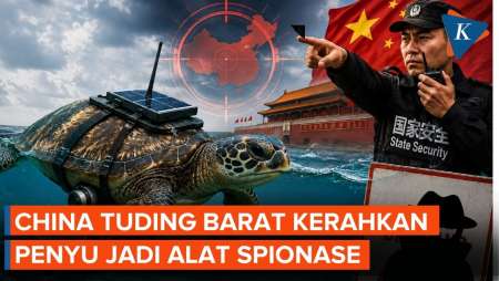 China Tuding Barat Kerahkan Penyu hingga Ikan Laut untuk Mata-matai Beijing