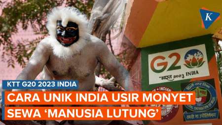 India Sewa 30-40 'Manusia Lutung' untuk Usir Monyet di Area G20