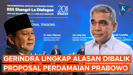 Sekjen Gerindra Ungkap Alasan Prabowo Usulkan Perdamaian Rusia-Ukraina