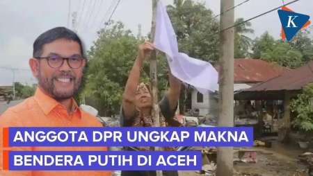 Warga Aceh Kibarkan Bendera Putih, Anggota DPR: Sindiran Untuk Pemerintah