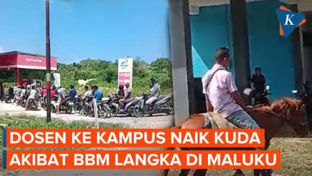 BBM Langka di Maluku, Dosen Univ Pattimura Tempuh 12 Km Naik Kuda