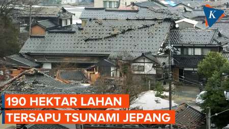 190 Hektar Lahan di Jepang Porak-poranda! Akibat Dihantam Tsunami