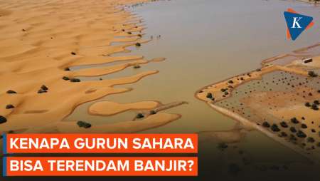 Pertama dalam 50 Tahun Gurun Sahara Terisi Air, Kok Bisa?