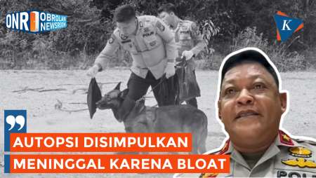 Hasil Autopsi Reno Anjing K-9 Yang Mati Saat Mencari Korban Longsor