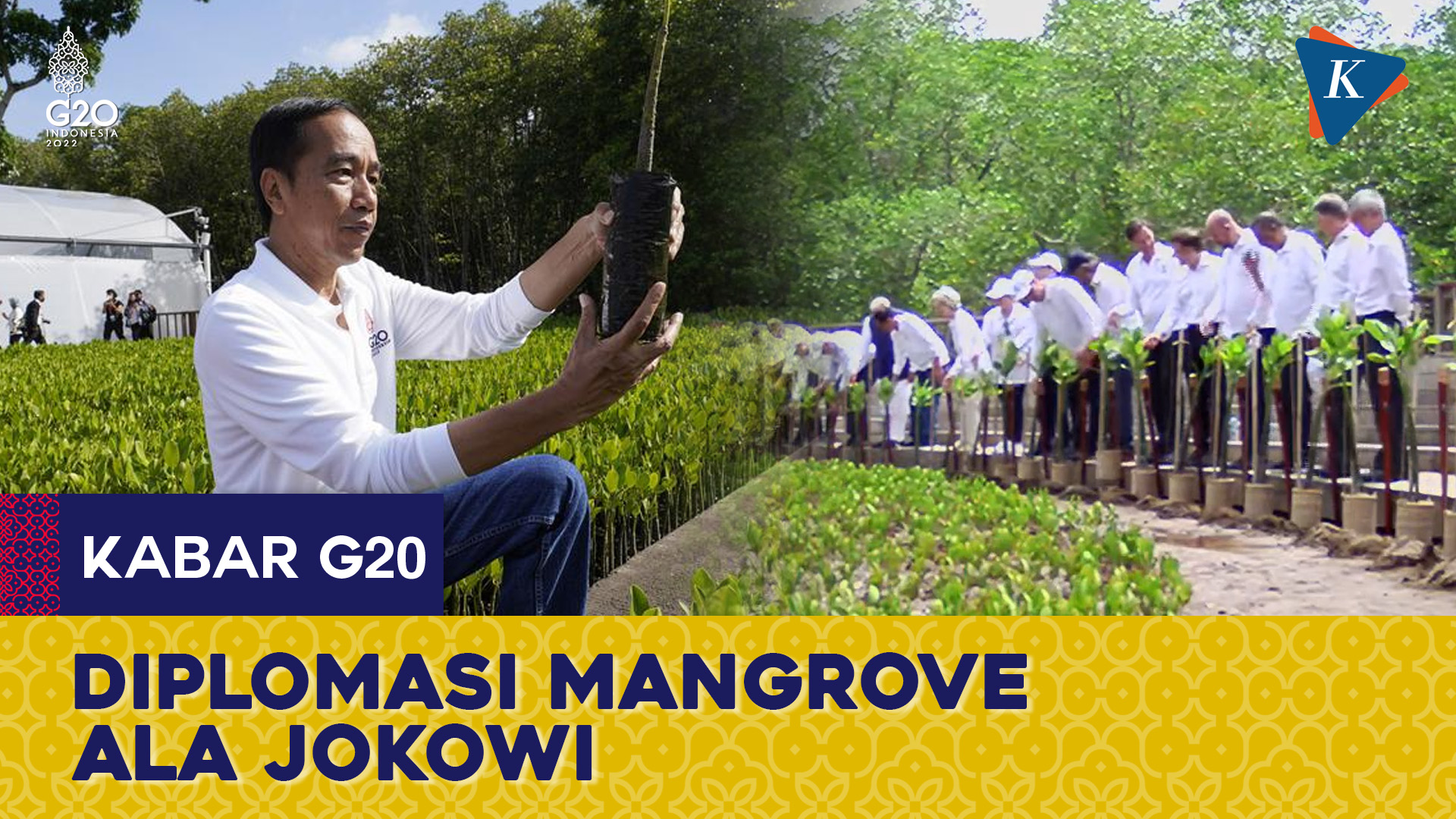 Jokowi Ajak Para Pemimpin Negara Tanam Mangrove di KTT G20