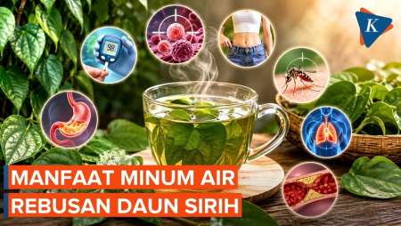 7 Manfaat Minum Air Rebusan Daun Sirih