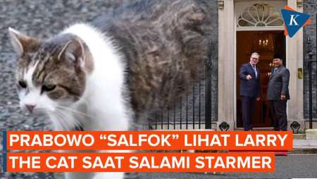 Tak Cuma Starmer, Larry The Cat Ikut "Sambut" Prabowo Di Kantor PM Inggris