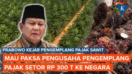 Prabowo Mau Paksa Pengemplang Pajak Sawit Setor Rp 300 Triliun ke Negara