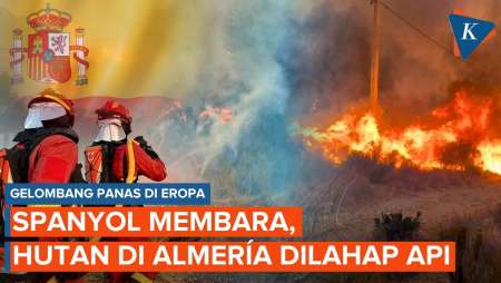Hutan Spanyol Dilahap Api Saat Eropa Dihantam Gelombang Panas