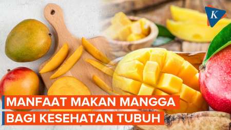 Manfaat Mangga untuk Kesehatan 