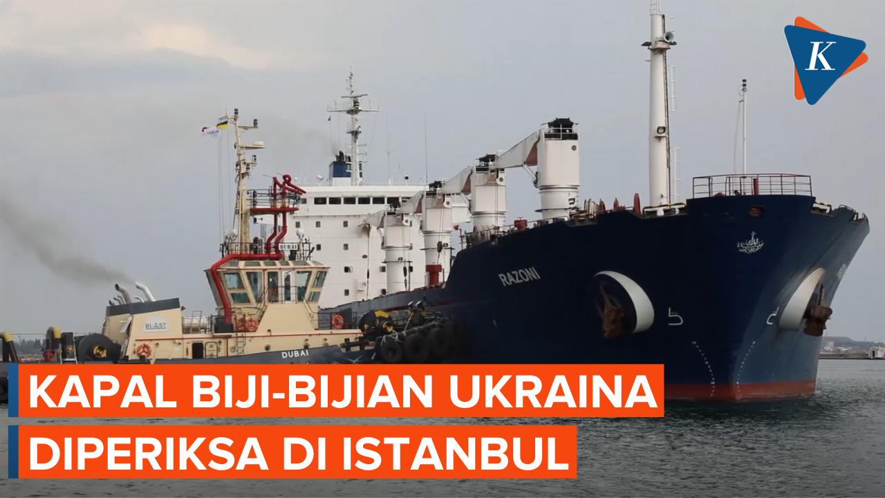 Pemeriksaan Kapal Biji-bijian Ukraina di Istanbul