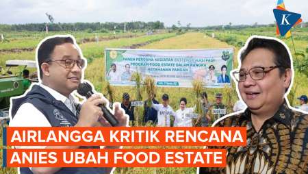 Airlangga Kritik Ide Anies Ganti “Food Estate” dengan “Contract Farming”