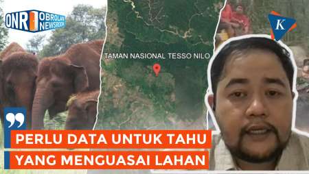 Ramai Konflik Tesso Nilo, WALHI Riau Angkat Bicara