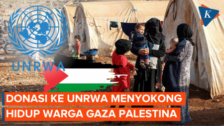 Banyak Negara Cabut Donasi ke UNRWA, Ini Dampaknya bagi Palestina