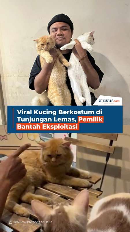 Viral Kucing Berkostum di Tunjungan Lemas