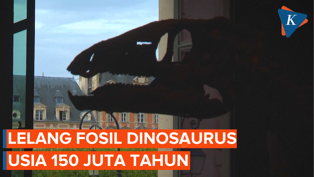 Tertarik Lelang Fosil Dinosaurus Berusia 150 Juta Tahun?