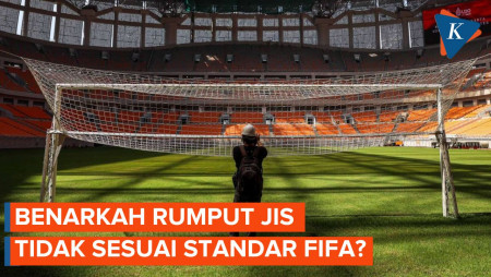 Apa Perbedaan Rumput JIS dengan Standar FIFA?