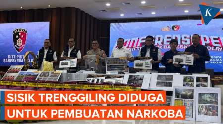 Bareskrim Selidiki Penjualan Sisik Trenggiling untuk Narkoba