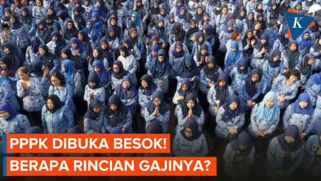 Pendaftaran PPPK Dibuka Besok, Ini Rincian Gajinya