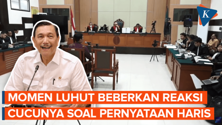 Luhut Ungkap Cucunya Pertanyakan Pernyataan Haris soal Kepemilikan Perusahaan