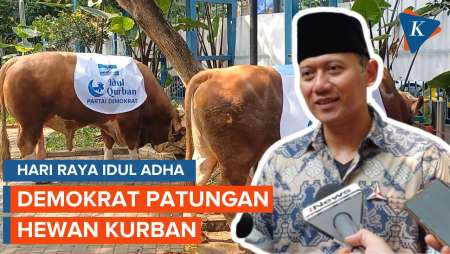 Demokrat Kurban 60 Sapi, Ada Atas Nama Ani Yudhoyono 