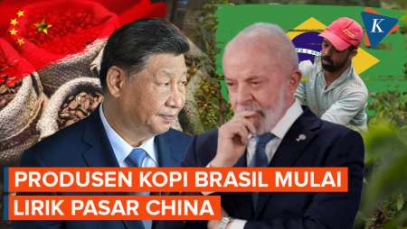 Efek Tarif Trump, Produsen Kopi Brasil Lirik China Jadi Pasar Ekspor Baru