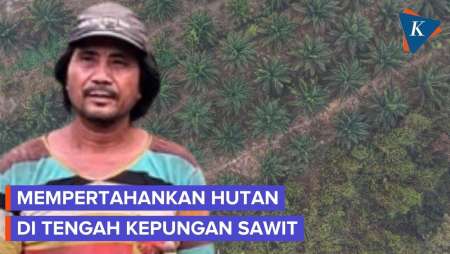 Bertahan Dikepung Sawit, Tokoh Adat  Tanah Putih Jaga Sisa Hutan Terakhir di Kalimantan