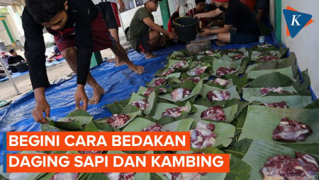 5 Perbedaan Daging Sapi dan Kambing, Jangan Sampai Salah!