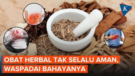 Bahaya Obat Herbal Dengan Efek Instan, Risiko Gagal Ginjal Dan Penyakit Jantung