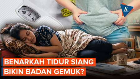 Benarkah Tidur Siang Bikin Badan Jadi Gemuk?