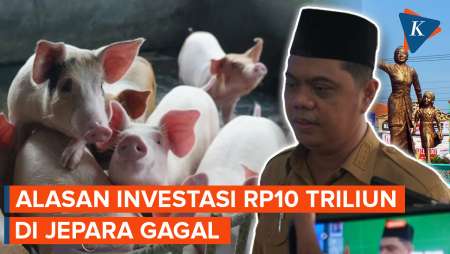 Investasi Peternakan Babi Rp10 Triliun di Jepara Batal, Apa Sebabnya?