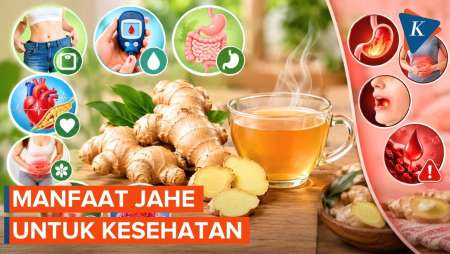 7 Khasiat Jahe Untuk Kesehatan Dan Efek Sampingnya Bagi Tubuh