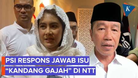 Soal “Kandang Gajah”Jokowi Di NTT, PSI: Bagian Dari Undangan