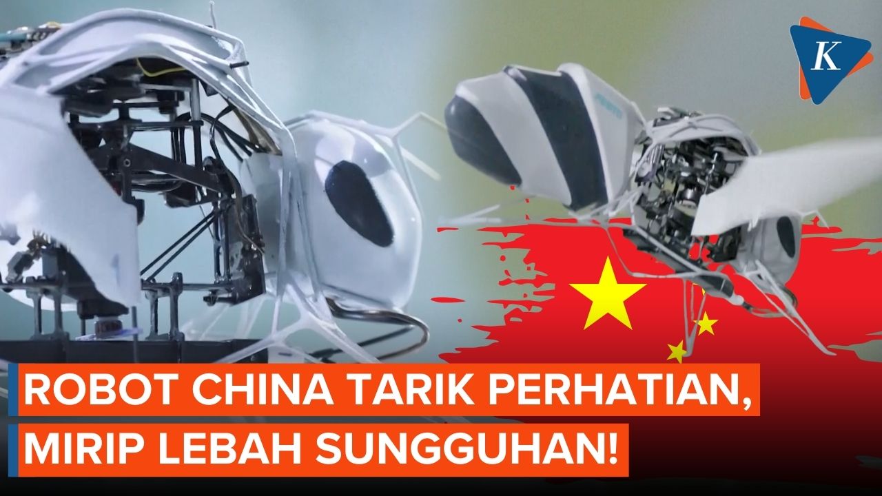Penampakan Robot Lebah Buatan China Terbang di Pameran Curi Perhatian