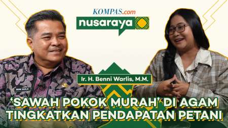 Sawah Pokok Murah! Langkah Bupati Agam Benni Warlis Angkat Ekonomi Petani | NUSARAYA