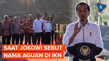 Jokowi: Mana Mungkin Aguan Cs Mau Investasi Rp 20 Triliun di IKN Kalau Tak Ada Cuan