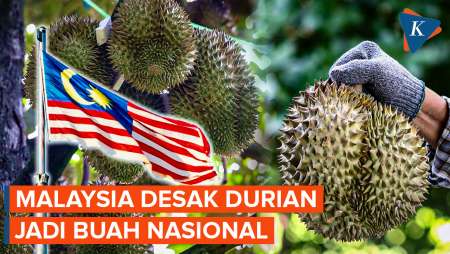 Usai "Rebutan" Dengan Singapura, Malaysia Desak Durian Jadi Buah Nasional