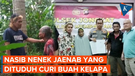 Nenek Jaenab Diminta Ganti Rugi Rp 6 Juta gara-gara 20 Buah Kelapa, Berujung Damai