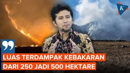 Luas Kawasan Bromo Terdampak Kebakaran Mencapai 500 Hektare