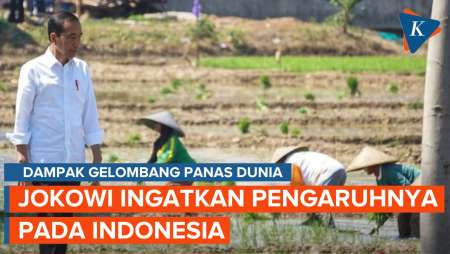 Jokowi Ingatkan Indonesia Akan Terdampak Gelombang Panas dan Kekeringan