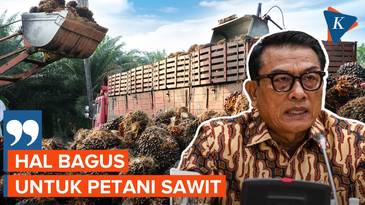 China Tambah Impor 1 Juta Ton CPO dari Indonesia, Kabar Bagus bagi Petani Sawit