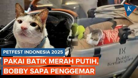 Kucing Prabowo, Bobby Kertanegara Hadir di PetFest 2025